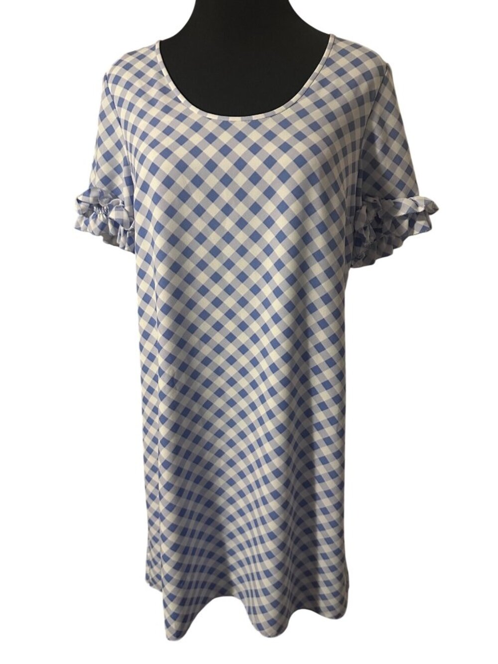 Ann Taylor blue and white ginghamcheck dress with ruffled sleeves size 4